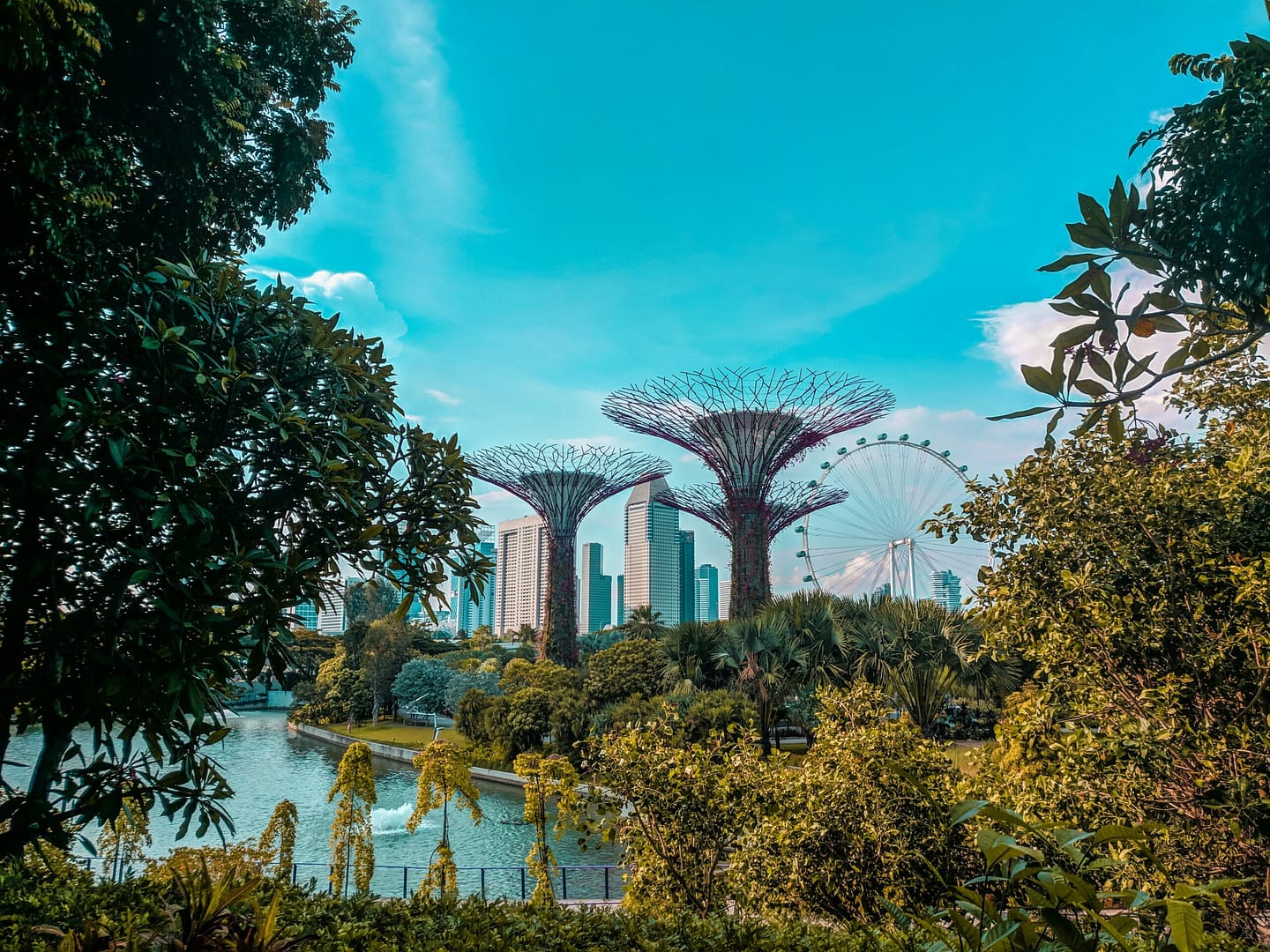 View of Gardens by the Bay